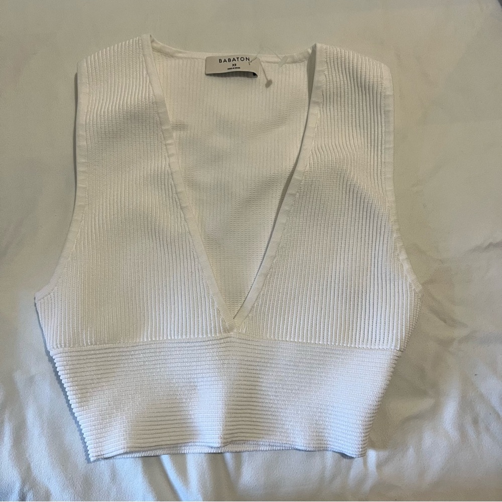 Babaton sculpt knit v neck top